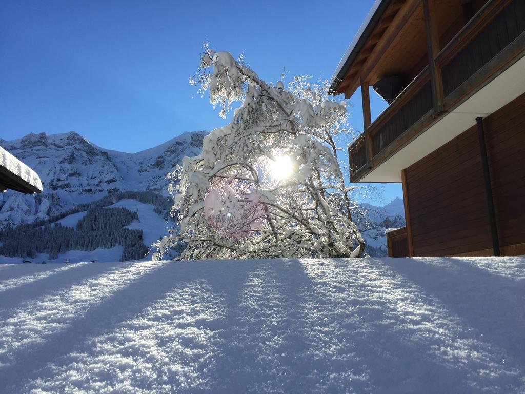 Hotel Steinmattli Adelboden Exterior foto