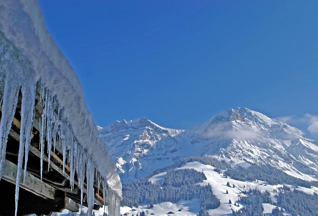 Hotel Steinmattli Adelboden Exterior foto